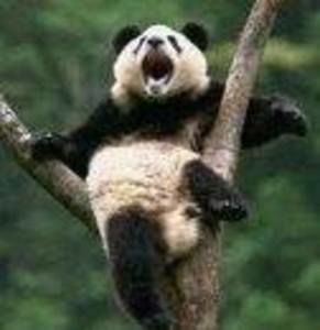 Meet your Posher, Harold